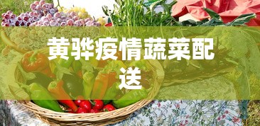 一分钟介绍使用“蛮王大厅有没有挂”揭秘透视辅助万能挂