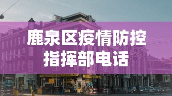 鹿泉区疫情防控指挥部电话