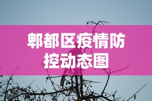 分析实测“微信小程序的微乐麻将有挂吗	”掌握辅助功能必胜规则