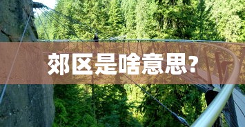今日必看盘点 ＂渝都亲友圈有人要挂吗”开挂(透视)辅助神器