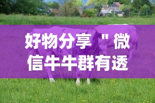 好物分享 ＂微信牛牛群有透视挂吗”(透视)辅助透视教程