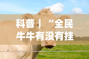 科普｜“全民牛牛有没有挂	”(透视)其实确实有挂