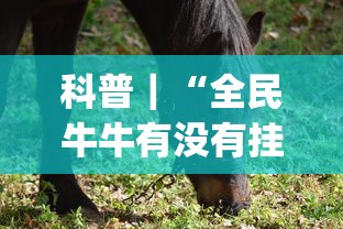 科普｜“全民牛牛有没有挂”(透视)其实确实有挂