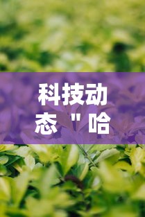 科技动态 ＂哈哈血战到底麻将开挂教程”详细辅助教程分享