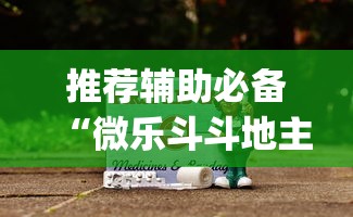 推荐辅助必备“微乐斗斗地主可以买挂吗”(原来确实是有插件)