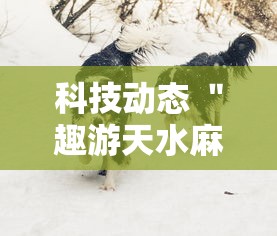 科技动态 ＂趣游天水麻将有挂吗”通用版下载教程