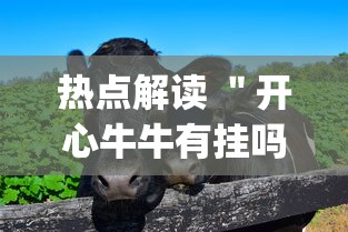 热点解读 ＂开心牛牛有挂吗”(果然有透视挂)